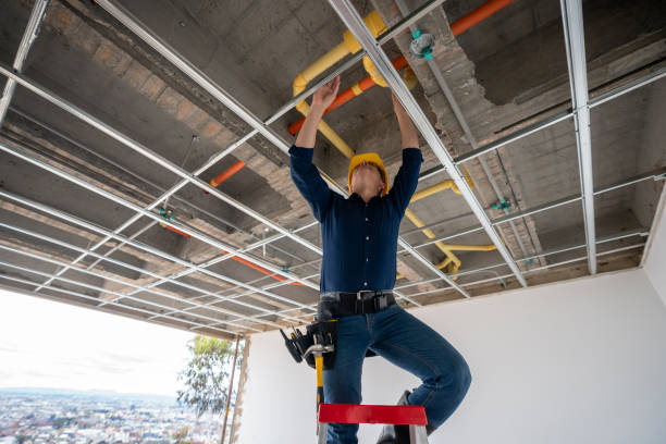 Best Best Plumbers Near Me  in Pemberville, OH